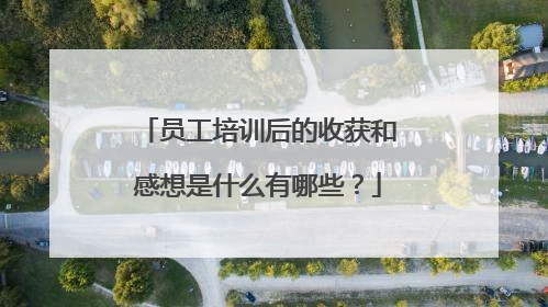 员工培训后的收获和感想是什么有哪些？