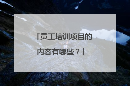 员工培训项目的内容有哪些？