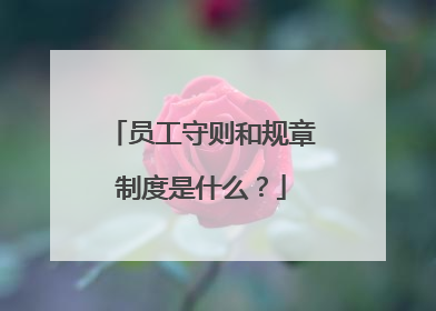 员工守则和规章制度是什么？