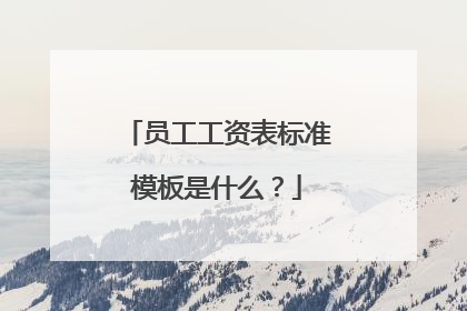 员工工资表标准模板是什么？