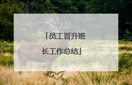 员工晋升班长工作总结