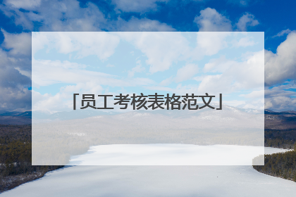 员工考核表格范文