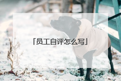 员工自评怎么写