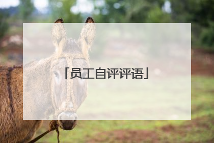 员工自评评语