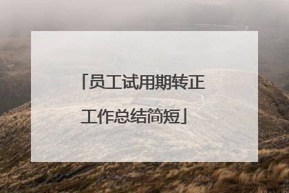 员工试用期转正工作总结简短