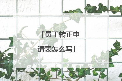员工转正申请表怎么写