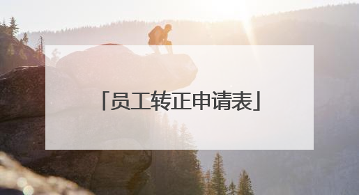 员工转正申请表