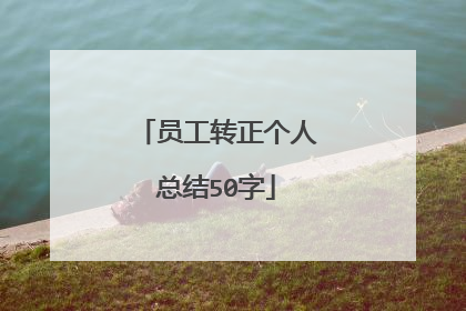 员工转正个人总结50字