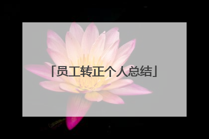 员工转正个人总结