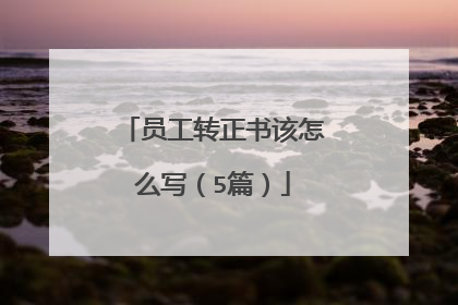 员工转正书该怎么写(5篇)