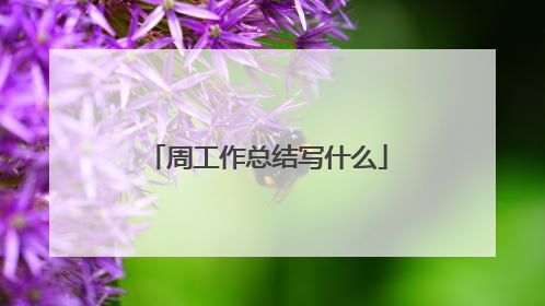 周工作总结写什么