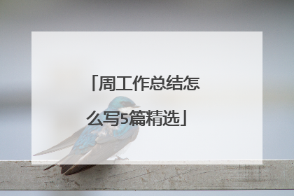 周工作总结怎么写5篇精选