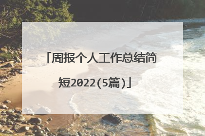 周报个人工作总结简短2022(5篇)