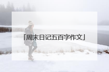 周末日记五百字作文