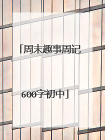 周末趣事周记600字初中