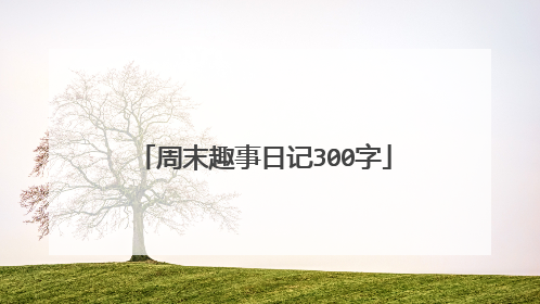 周末趣事日记300字