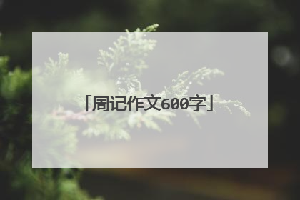 周记作文600字