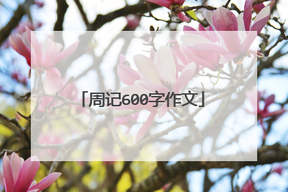 周记600字作文