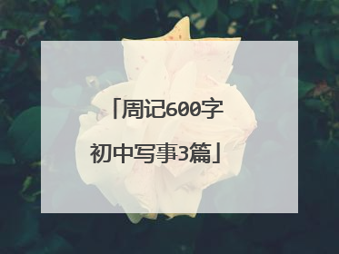 周记600字初中写事3篇
