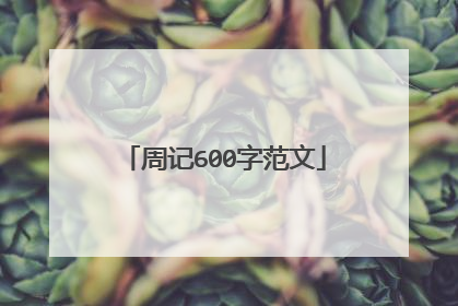 周记600字范文