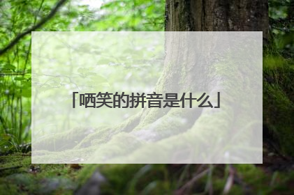 哂笑的拼音是什么