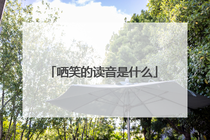 哂笑的读音是什么