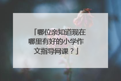 哪位亲知道现在哪里有好的小学作文指导网课?