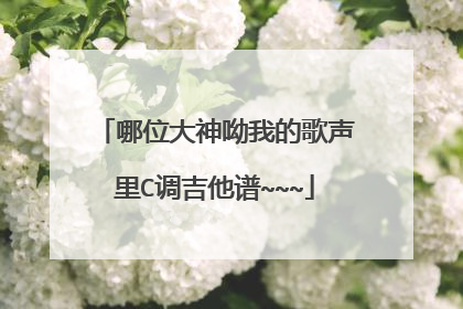 哪位大神呦我的歌声里C调吉他谱~~~