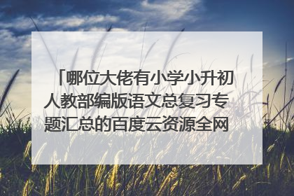 哪位大佬有小学小升初人教部编版语文总复习专题汇总的百度云资源全网在线求免费分享