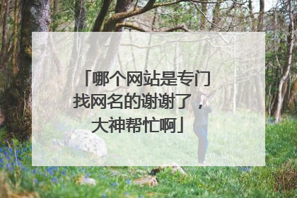 哪个网站是专门找网名的谢谢了，大神帮忙啊