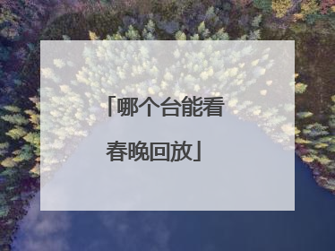 哪个台能看春晚回放