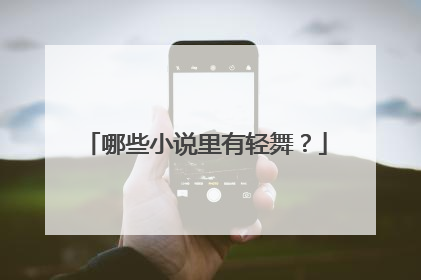 哪些小说里有轻舞?