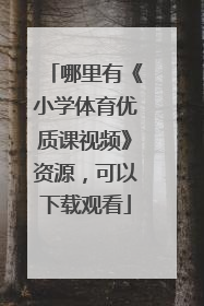 哪里有《小学体育优质课视频》资源，可以下载观看