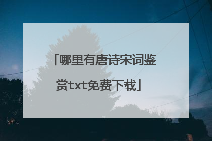 哪里有唐诗宋词鉴赏txt免费下载