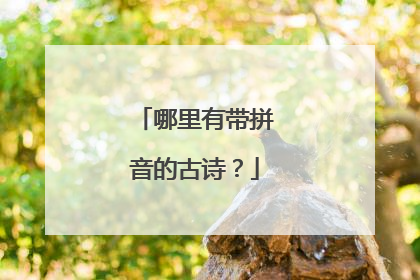 哪里有带拼音的古诗？