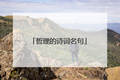 哲理的诗词名句