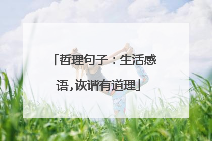 哲理句子：生活感语,诙谐有道理