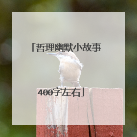 哲理幽默小故事400字左右