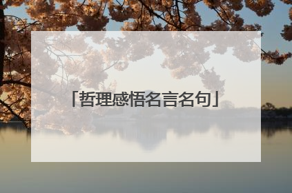 哲理感悟名言名句