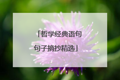 哲学经典语句句子摘抄精选