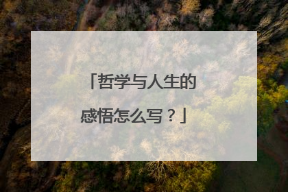 哲学与人生的感悟怎么写？