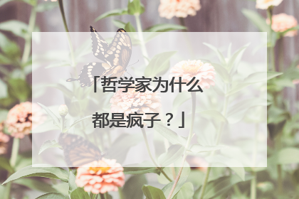 哲学家为什么都是疯子？