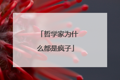 哲学家为什么都是疯子