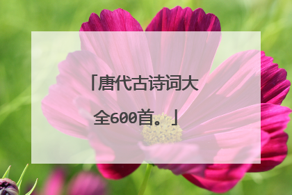 唐代古诗词大全600首。