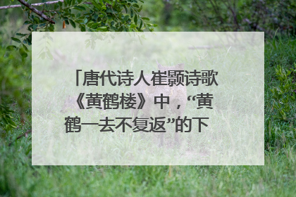 唐代诗人崔颢诗歌《黄鹤楼》中,“黄鹤一去不复返”的下一句是什么?