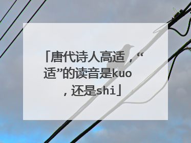 唐代诗人高适，“适”的读音是kuo，还是shi