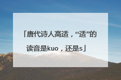 唐代诗人高适，“适”的读音是kuo，还是s