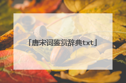 唐宋词鉴赏辞典txt