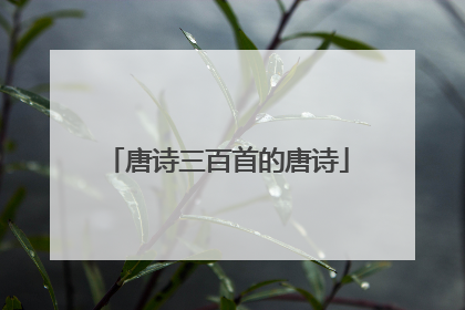 唐诗三百首的唐诗