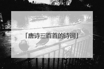 唐诗三百首的诗词